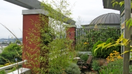 slide show - unit deck - photo by Cohousing Development Consulting