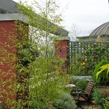 slide show - unit deck - photo by Cohousing Development Consulting